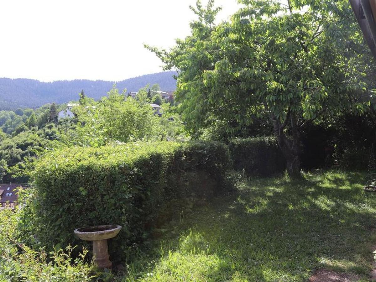 Haus Hoehneck 1 Alpirsbach Bagian luar foto