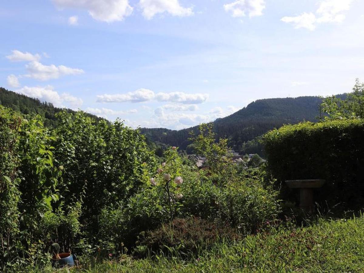 Haus Hoehneck 1 Alpirsbach Bagian luar foto
